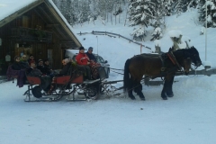 Leogang 2014